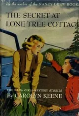 Cover of The Secret at Lone Tree cottage