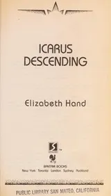 Cover of Icarus descending