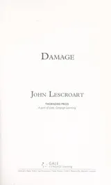 Cover of Damage