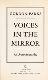 Cover of Voices in the mirror