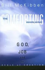 Cover of The comforting whirlwind