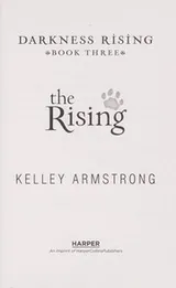 Cover of The Rising