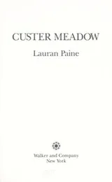 Cover of Custer Meadow