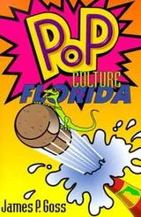 Cover of Pop culture Florida