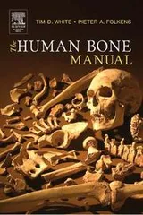 Cover of The human bone manual