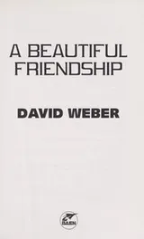 Cover of A beautiful friendship