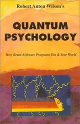 Cover of Quantum psychology