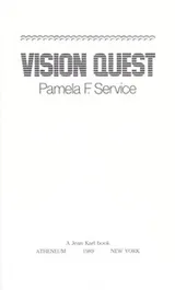 Cover of Vision quest