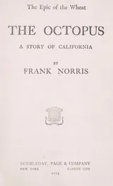 Cover of The octopus, a story of California