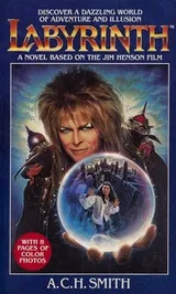 Cover of Labyrinth