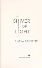 Cover of A shiver of light