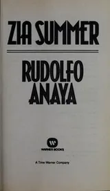 Cover of Zia summer