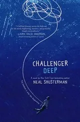 Cover of Challenger Deep