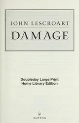 Cover of Damage