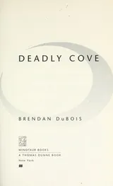 Cover of Deadly cove