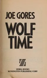 Cover of Wolf Time
