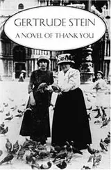 Cover of A novel of thank you