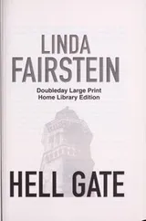 Cover of Hell gate