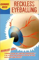 Cover of Reckless eyeballing