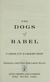 Cover of The dogs of Babel