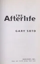 Cover of The afterlife