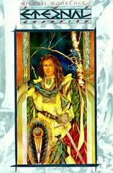 Cover of The Eternal Champion