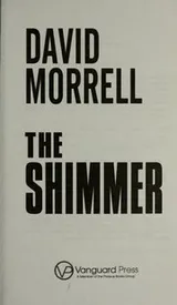 Cover of The shimmer