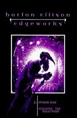 Cover of Spider Kiss