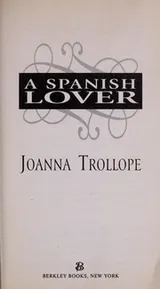 Cover of A Spanish lover
