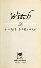 Cover of Witch