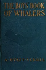 Cover of The boys' book of whalers