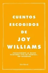 Cover of Cuentos escogidos de Joy Williams