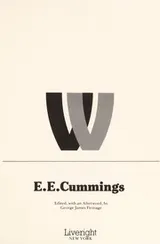 Cover of W