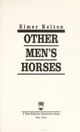 Cover of Other men's horses