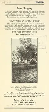 Cover of [Nut Tree Nurseries price list]