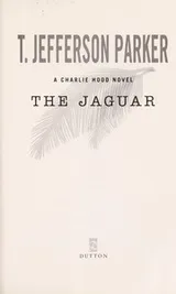 Cover of The jaguar