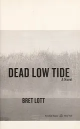 Cover of Dead low tide