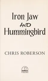 Cover of Iron Jaw and Hummingbird