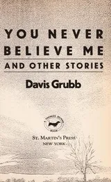 Cover of You never believe me