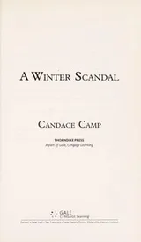 Cover of A winter scandal