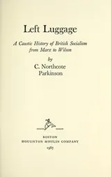 Cover of Left luggage