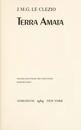 Cover of Terra amata