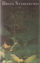 Cover of The Angel of Pain