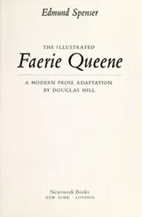 Cover of The illustrated Faerie queene