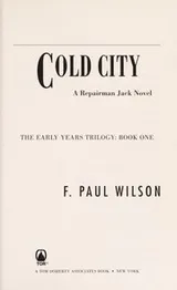Cover of Cold city