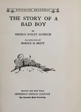 Cover of The story of a bad boy