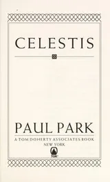 Cover of Celestis