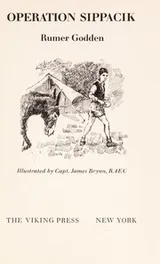 Cover of Operation Sippacik