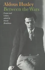 Cover of Between the wars