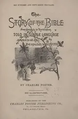 Cover of The story of the Bible from Genesis to Revelation